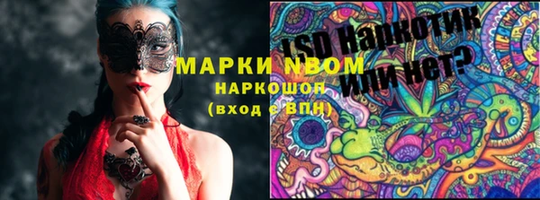 индика Алзамай