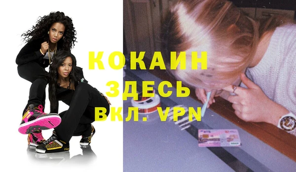 соль ск Пересвет