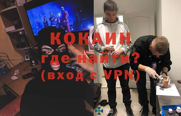 индика Алзамай